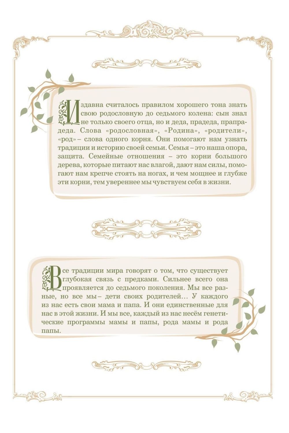 Родословная книга в подарок фото 