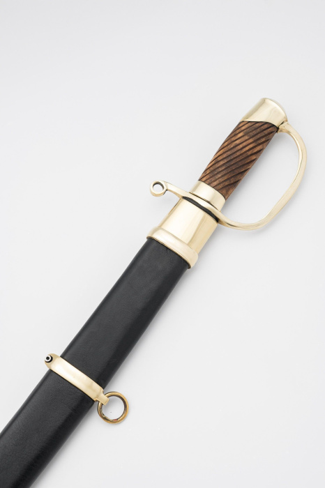 Шашка Драгунская рядовая 1881 года фото 