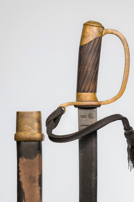 Шашка Драгунская солдатская 1881 года фото 