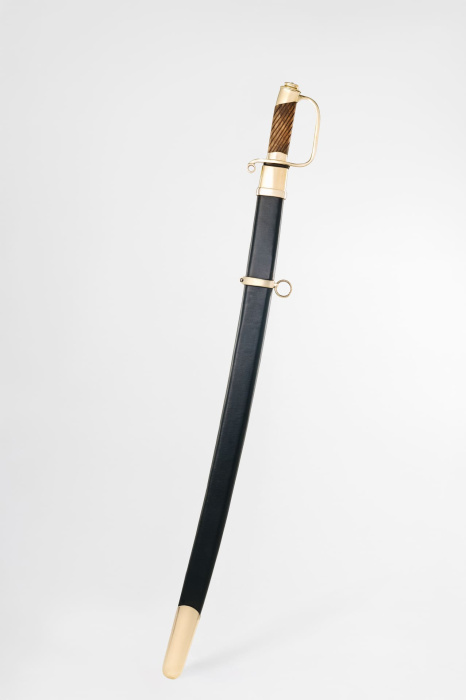 Шашка Драгунская двудолая 1881 года фото 