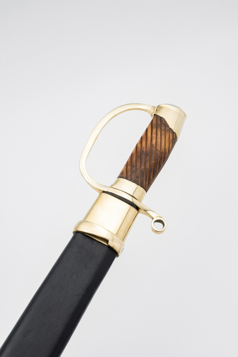 Шашка Драгунская рядовая 1881 года фото 