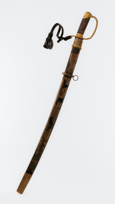 Шашка Драгунская солдатская 1881 года фото 