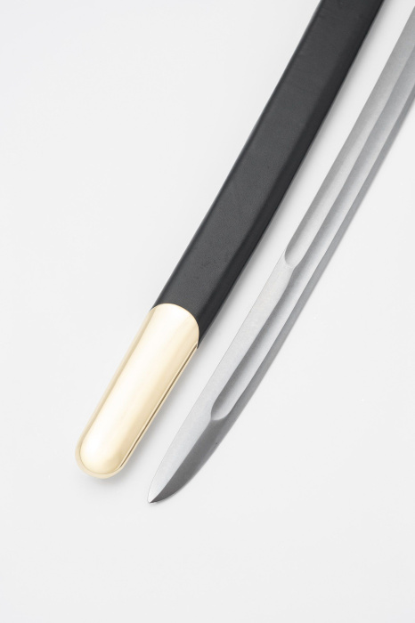 Шашка Казачья двудолая 1881 года фото 