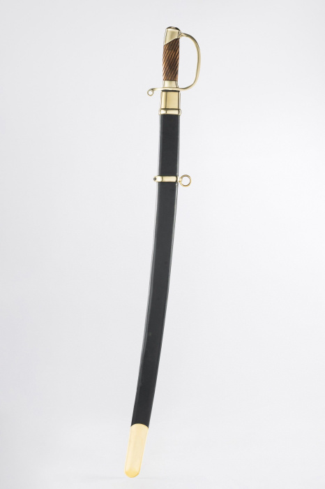 Шашка Драгунская рядовая 1881 года фото 